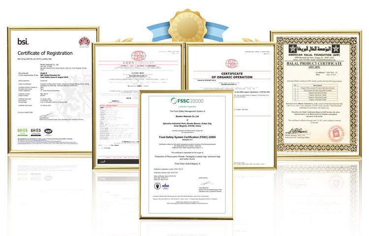 best quality nettle extract powder