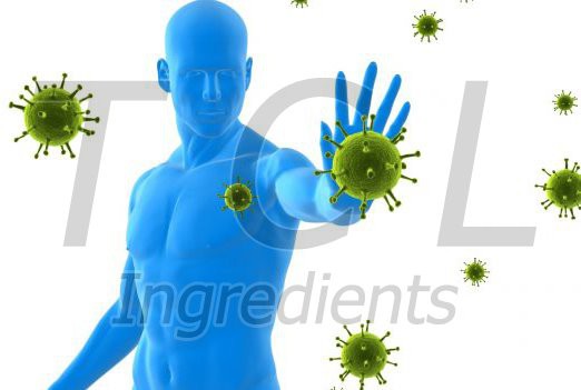 black cohosh extract manufacturer