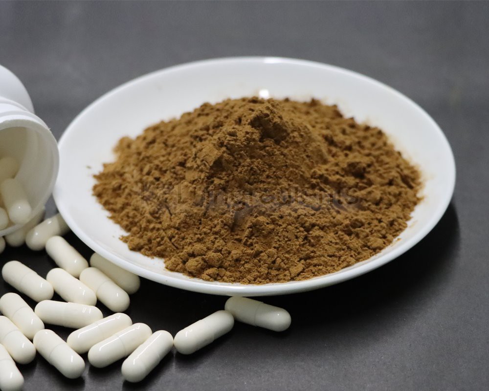 Ceterach officinarum raw powder