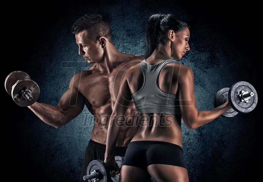 Tribulus gokhru extract