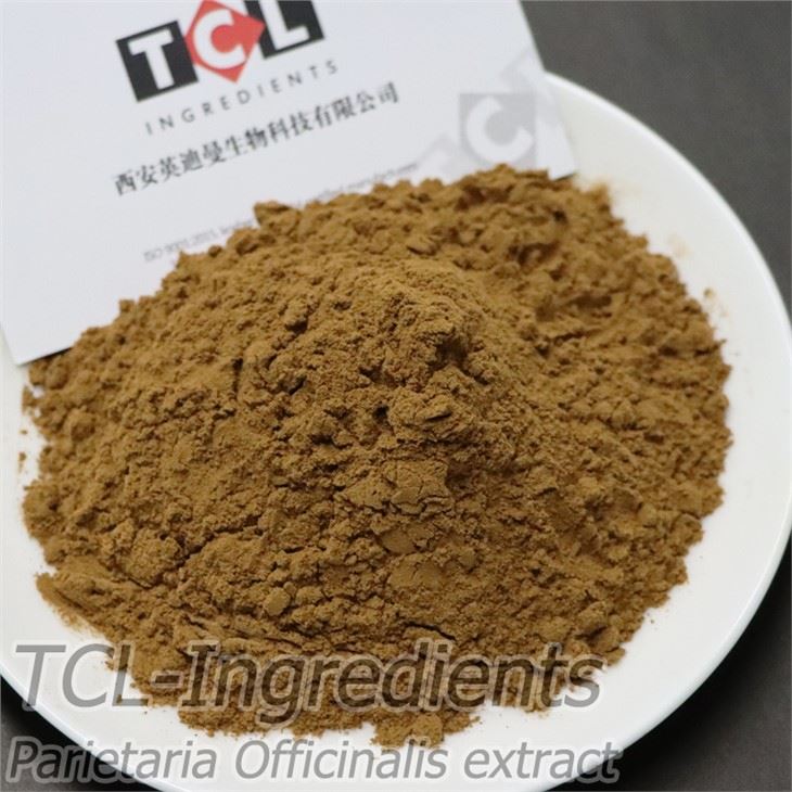 Parietaria Officinalis Extract
