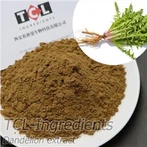 Dandelion Extract Powder