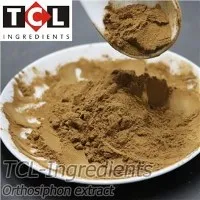 Orthosiphon Extract