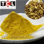 Scutellaria Extract