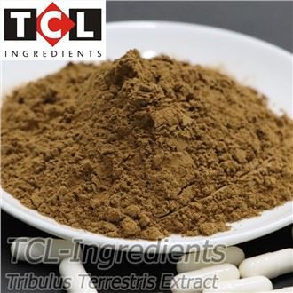 Tribulus Terrestris Extract Powder